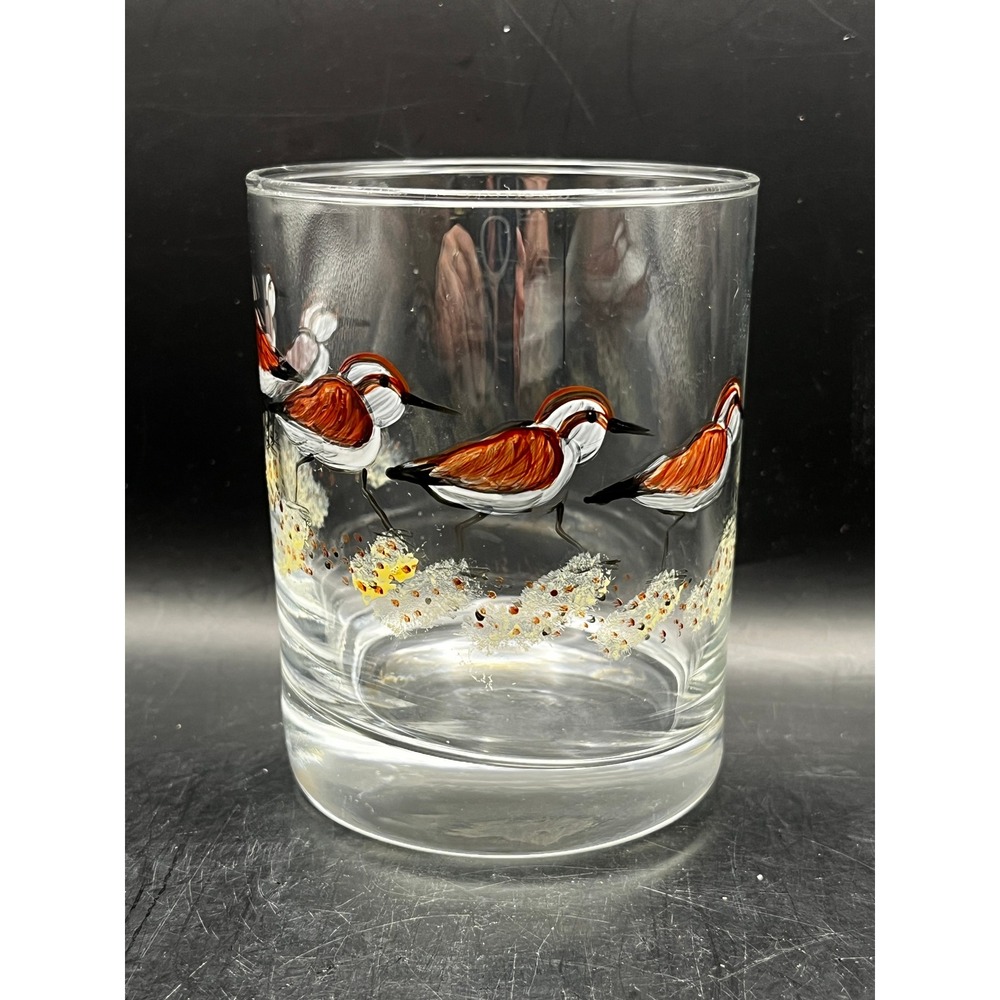Hand Painted Glass Tumbler 12oz Lowball Shorebird Red-Capped Plover Beach Coast